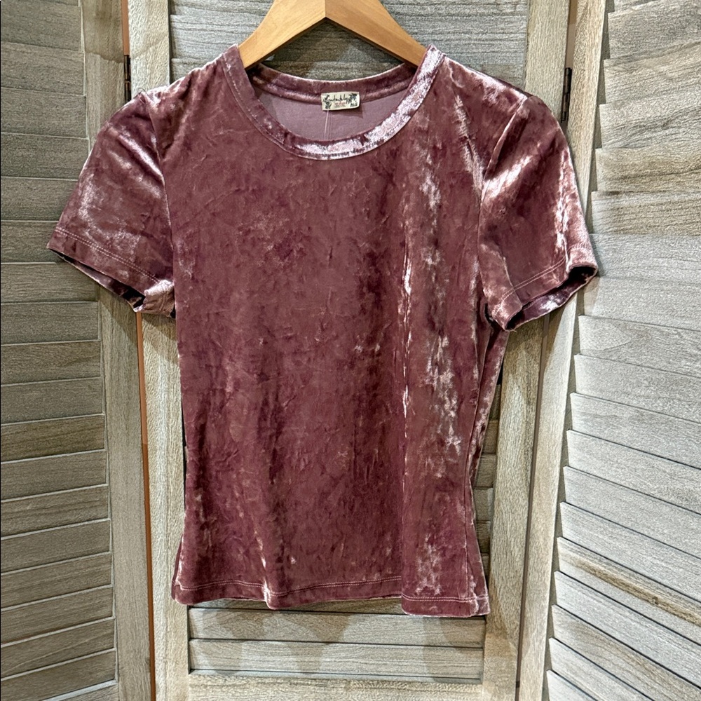 Free People Intimately Velvet Short Sleeve Top in Dusty Rose